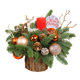 Ember Birch - Christmas Arrangement