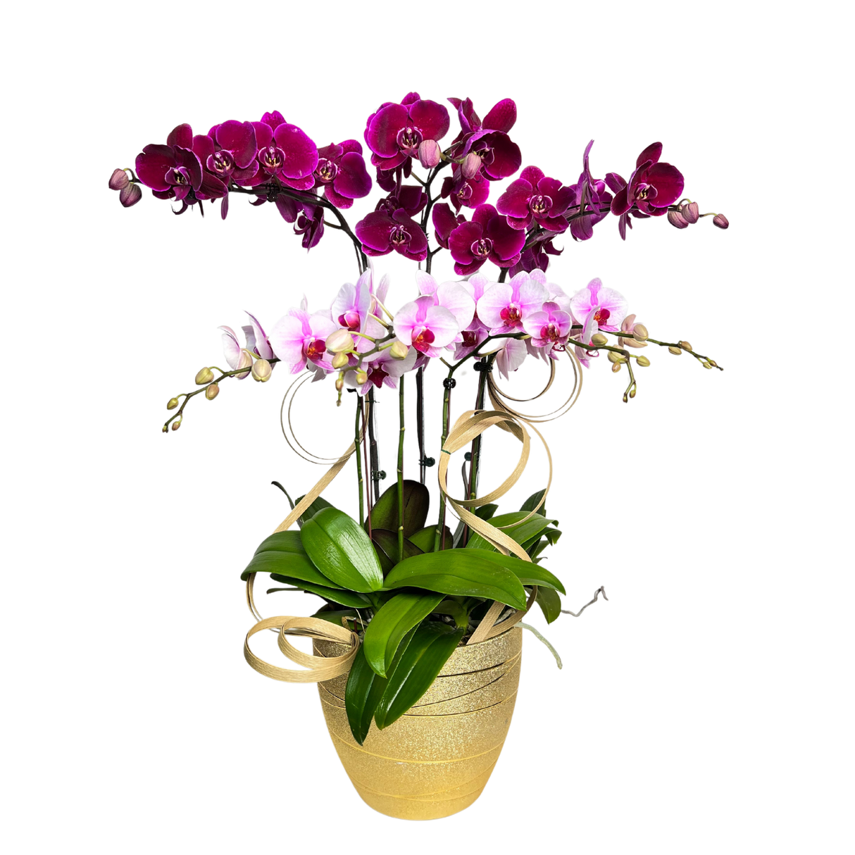 Floral Cascade (3 Single Stem and 2 Double Stem)