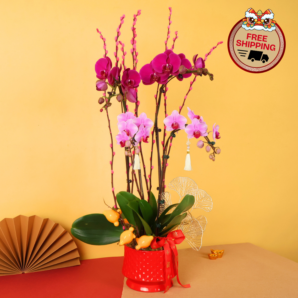 Flourish Growth (2 Single & 1 Double Stalks) - Orchid Phalaenopsis