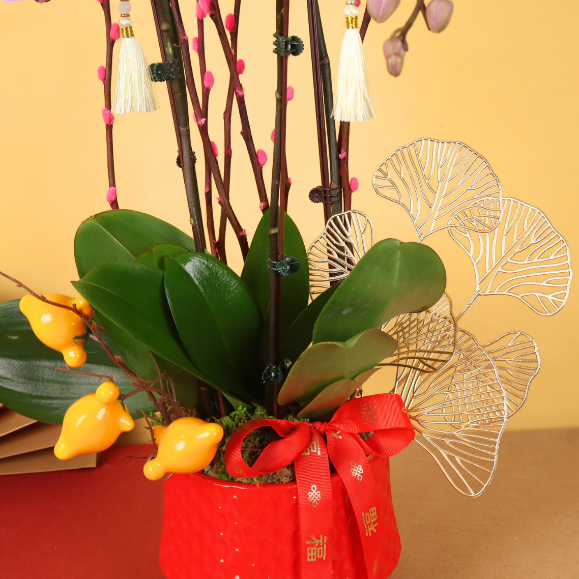 Flourish Growth (2 Single & 1 Double Stalks) - Orchid Phalaenopsis