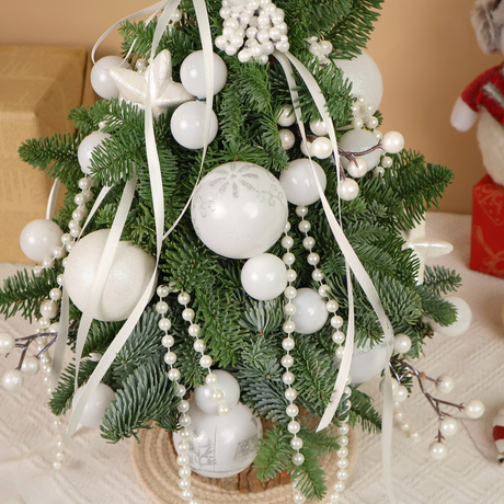 Frosted Meadow - Fresh Mini Christmas Tree