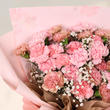 Gentle Devotion (33 Carnations) - Flower Bouquet