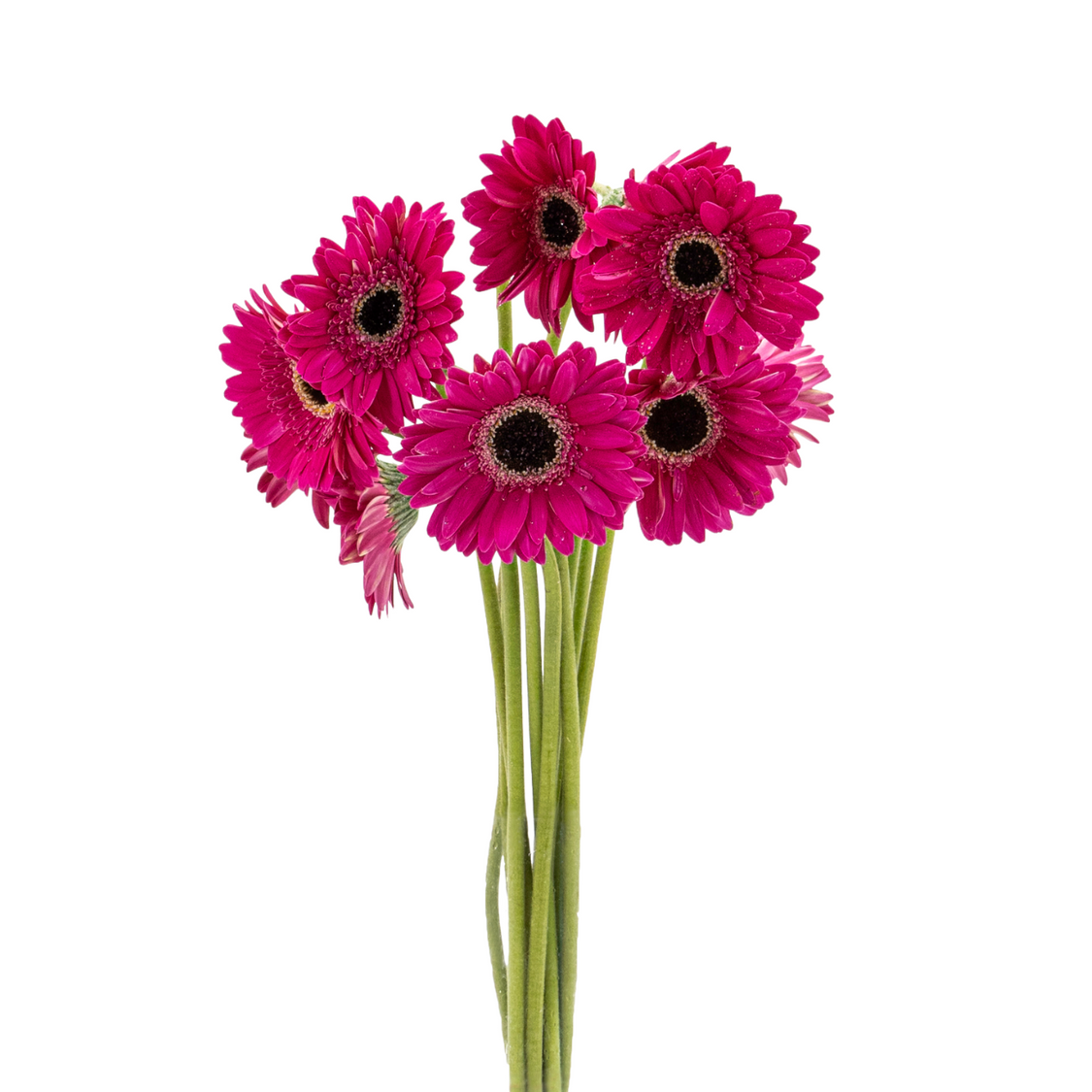 Order Flowers Online Singapore Ji Mei Flower