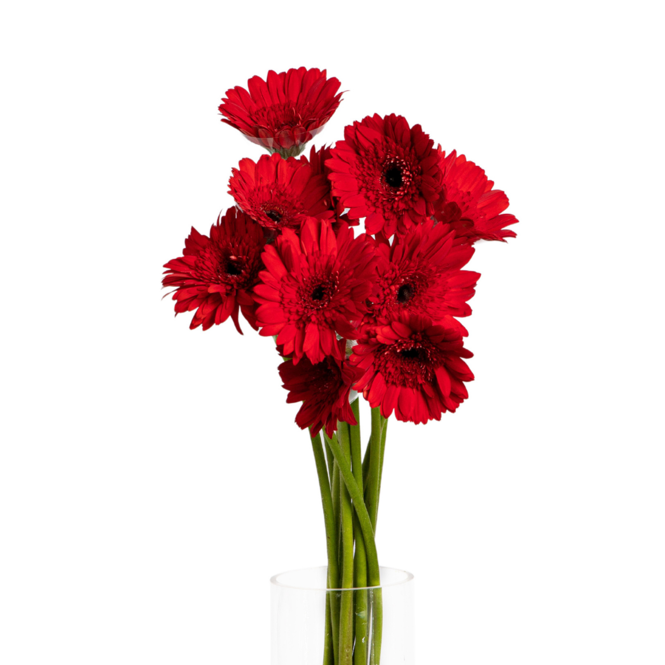 Order Flowers Online Singapore Ji Mei Flower