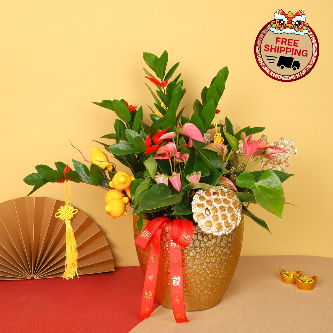 golden zz plant Golden Bountiful (ZZ Plant 金钱树)
