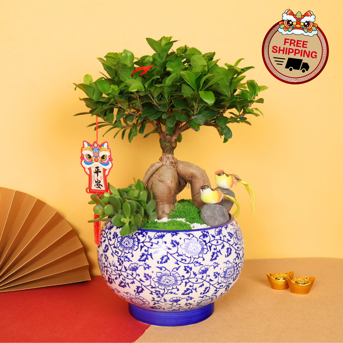 Golden Canopy (Bonsai) - CNY Plant