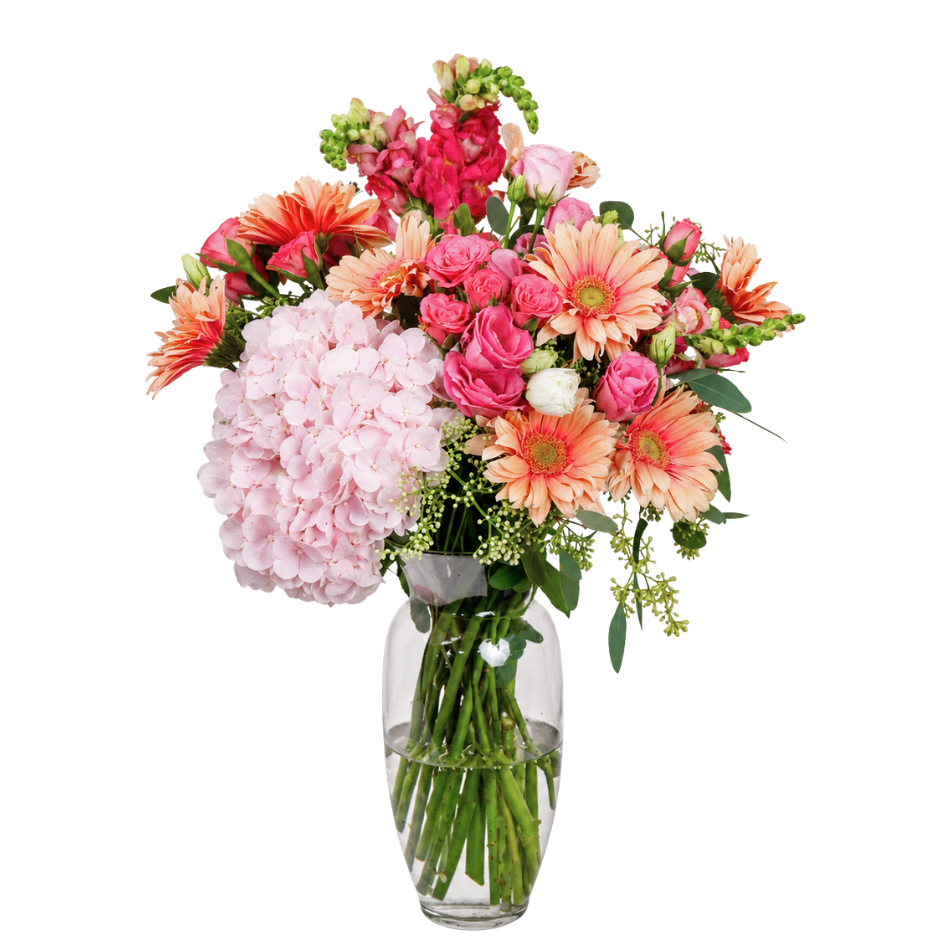 Hana (8 Gerberas, 1 Hydrangea) - Vase Arrangement