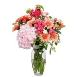 Hana (8 Gerberas, 1 Hydrangea) - Vase Arrangement