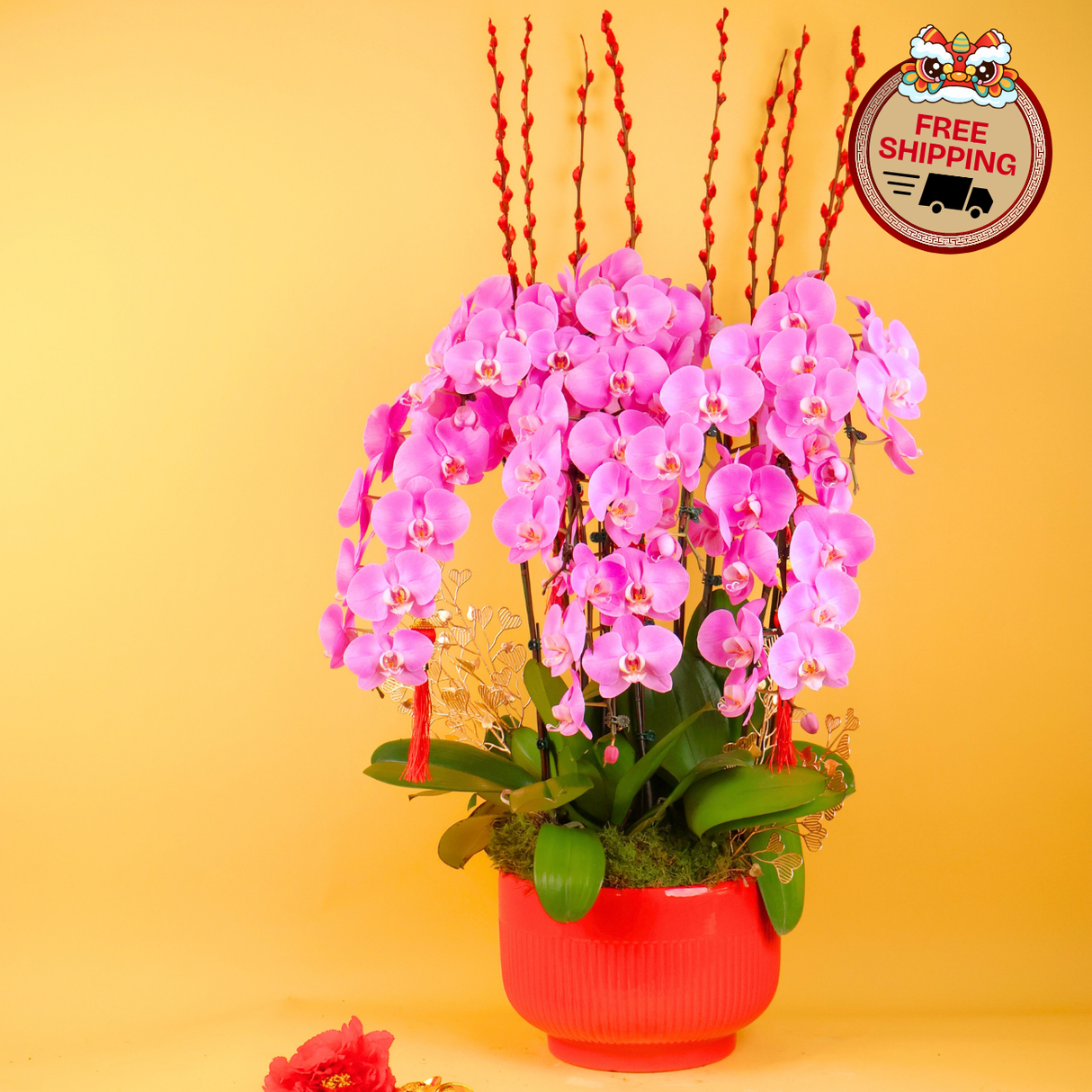 Harvest Radiance (8 Single Stalks) - Orchid Phalaenopsis