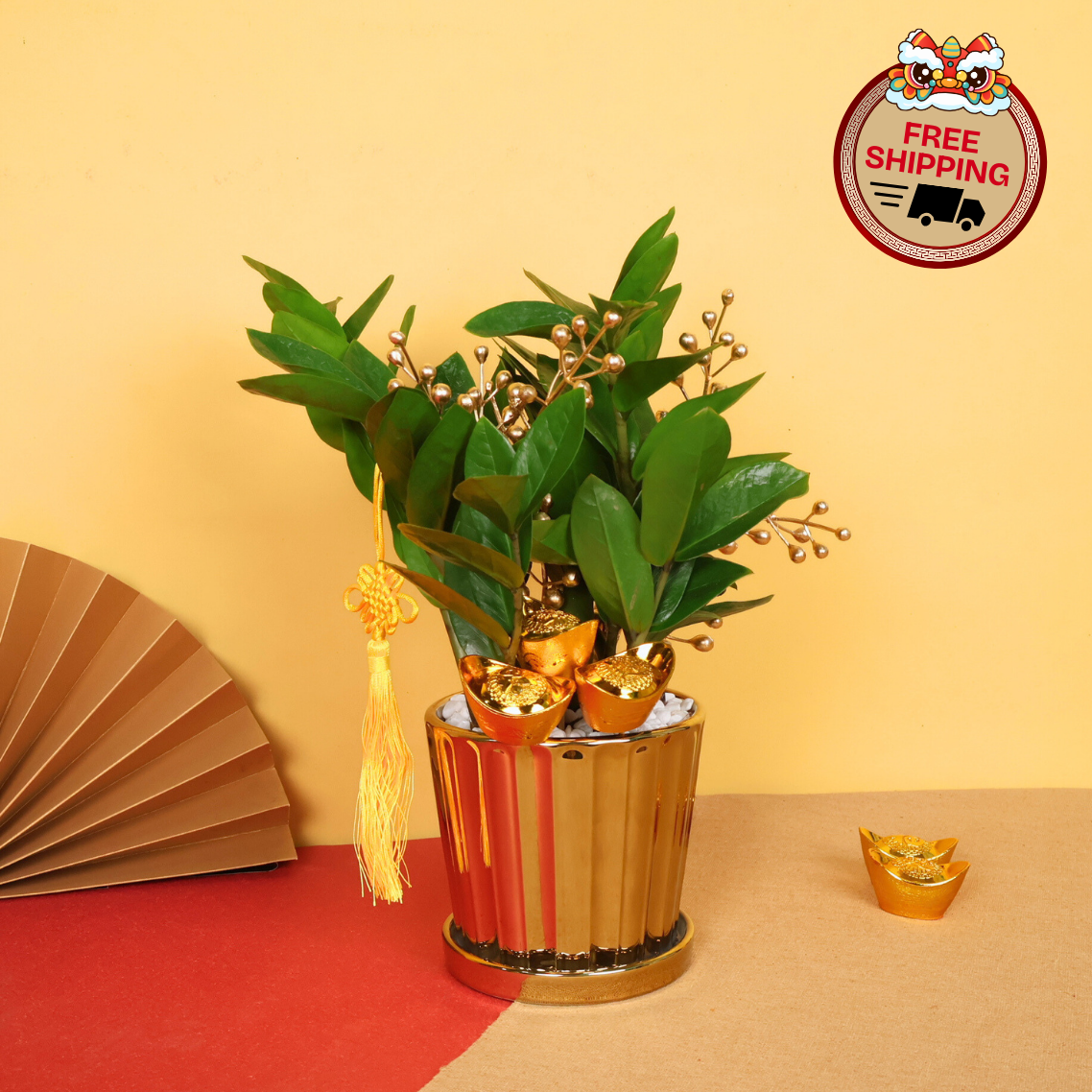 Harvest Wealth (ZZ Plant 金钱树) - CNY Plant