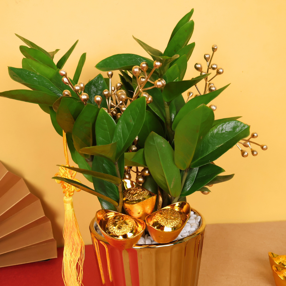 Harvest Wealth (ZZ Plant 金钱树) - CNY Plant