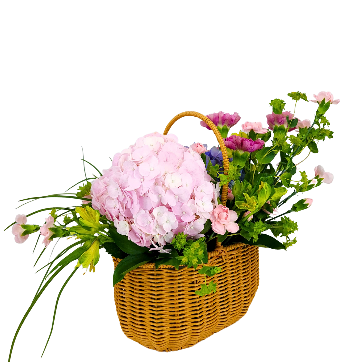 Hydrangea Garden (2 Hydrangeas, 6 Carnations)