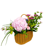 Hydrangea Garden (2 Hydrangeas, 6 Carnations)