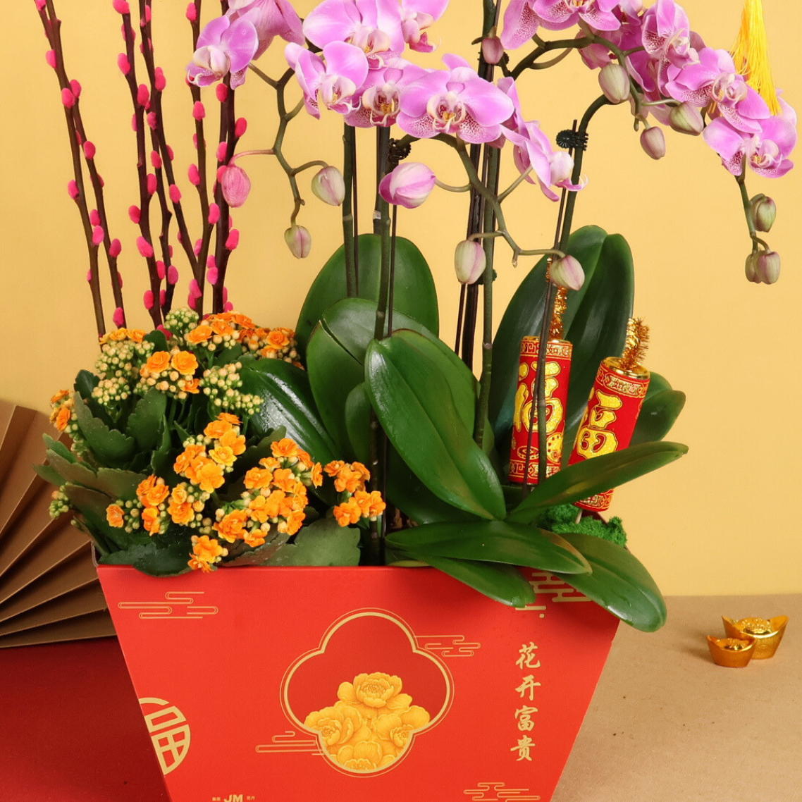 Imperial Harmony (2 Single & 2 Double Stalks) - Orchid Phalaenopsis