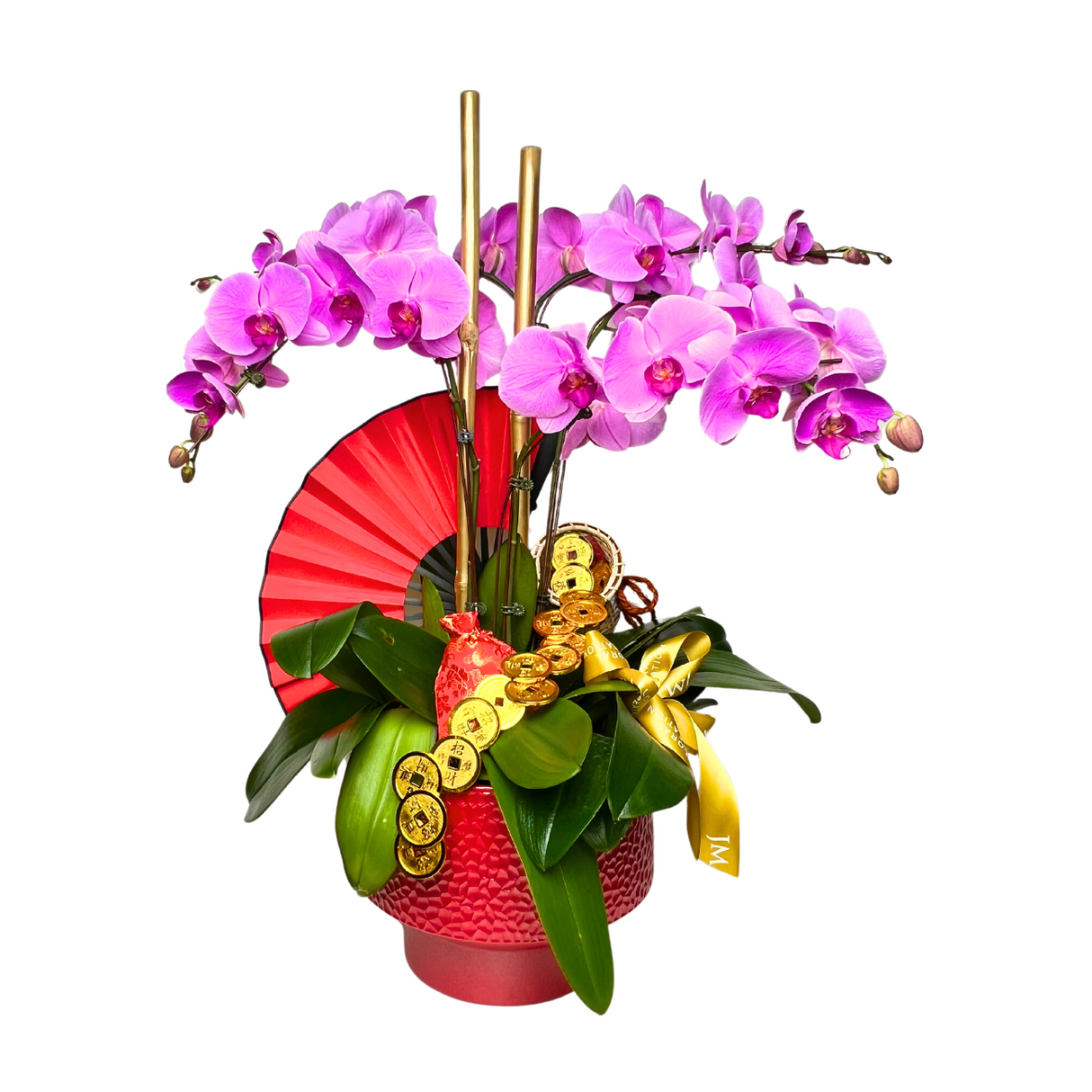 Imperial Prosperity (5 Single Stalks) - Orchid Phalaenopsis