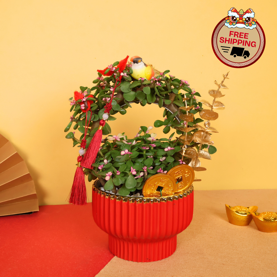 Jade Blossom (Crassula 玉树) - CNY Plant