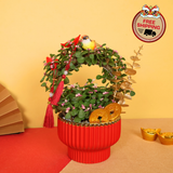 Jade Blossom (Crassula 玉树) - CNY Plant