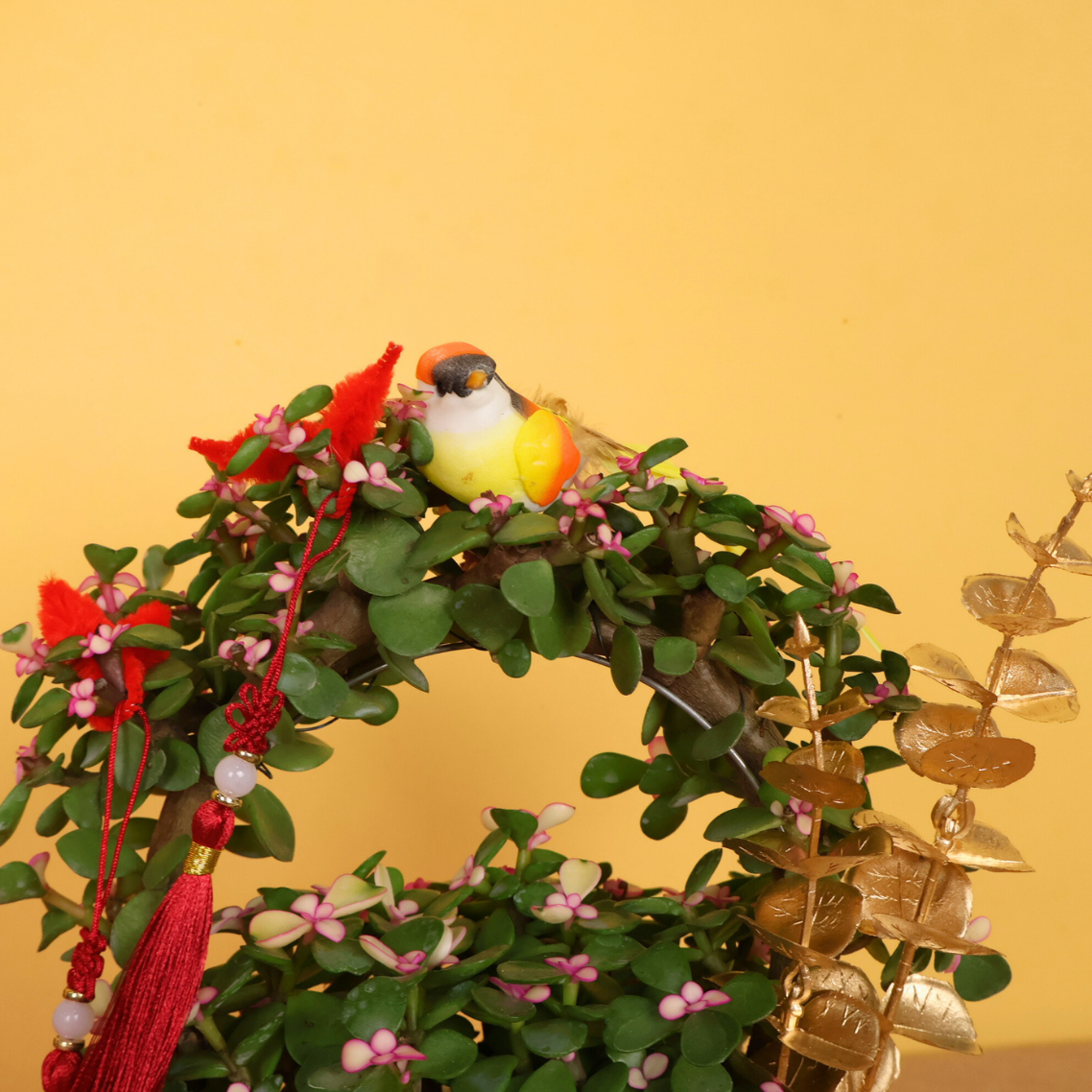 Jade Blossom (Crassula 玉树) - CNY Plant