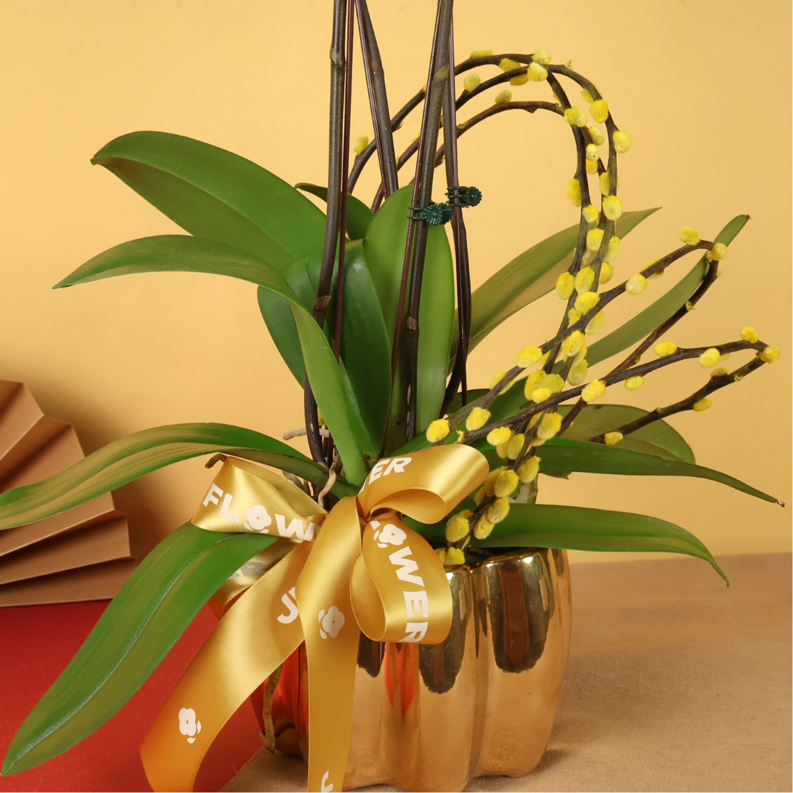 Jewel Wealth (2 Single Stalks) - Orchid Phalaenopsis
