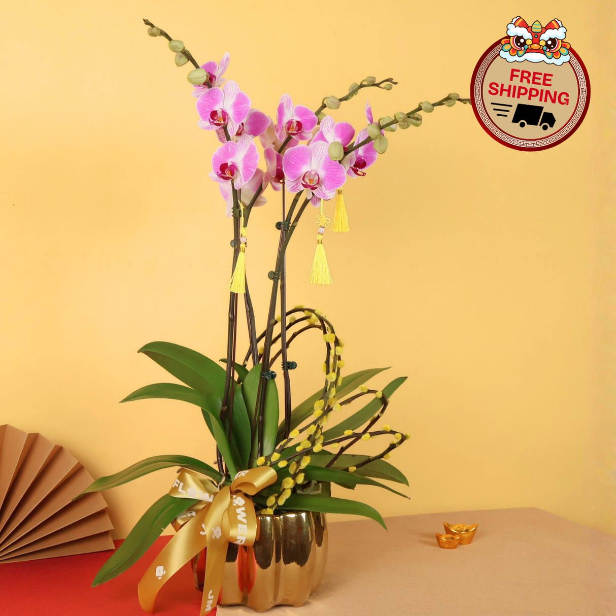 Jewel Wealth (2 Single Stalks) - Orchid Phalaenopsis