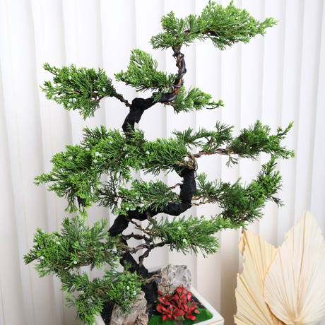 Juniperus Boutique