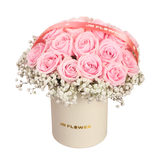 Lana (20 Roses) - Flower Box