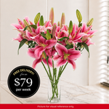 Lilies - Luxe