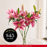 Lilies - Classic