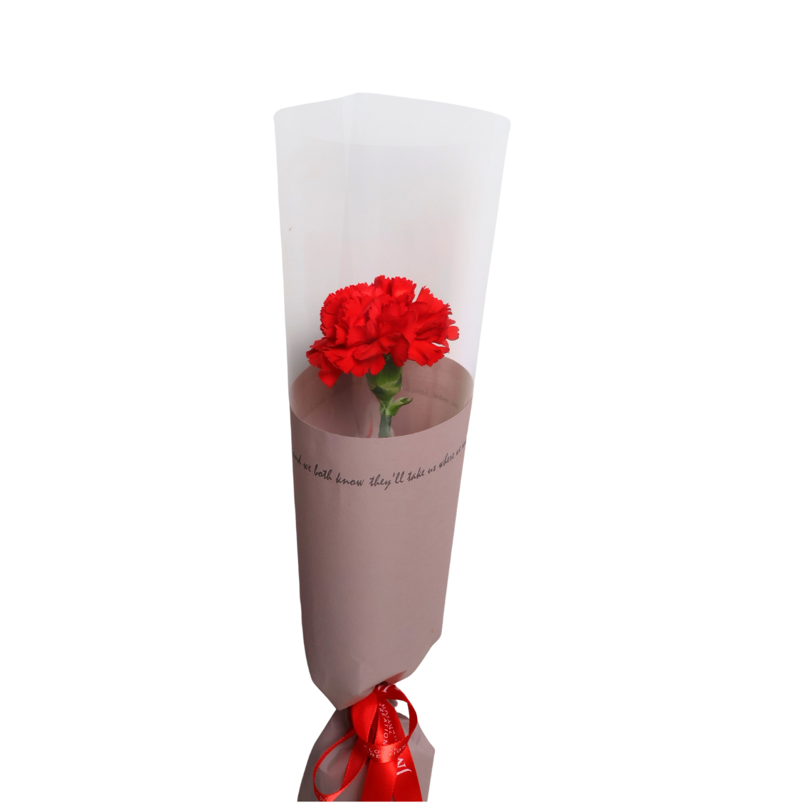 Carnation Single Stalk Bouquet