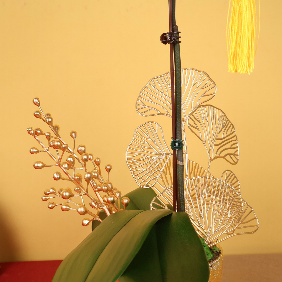 Lucky Gem (1 Single Stalk) - Orchid Phalaenopsis