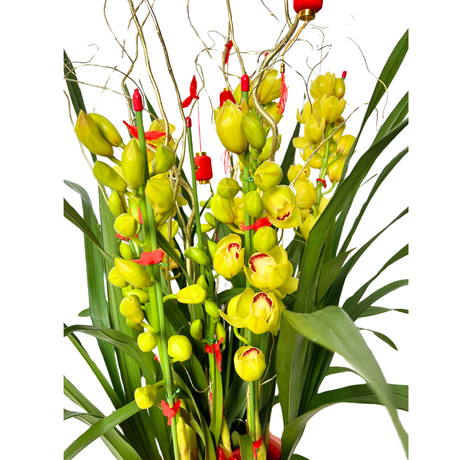 Lucky Lunar - Cymbidium Arrangement