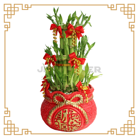 Lucky Bamboo Tower in Festive Pot (Taiwan)