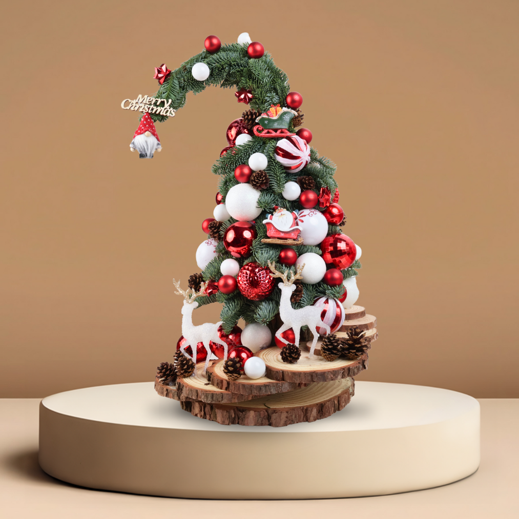 Winter Magic - Fresh Mini Christmas Tree