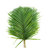 Palm Leaf (Malaysia)