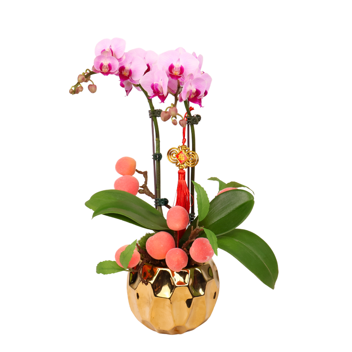 Peach Elegance (1 Double Stalk) - Orchid Phalaenopsis