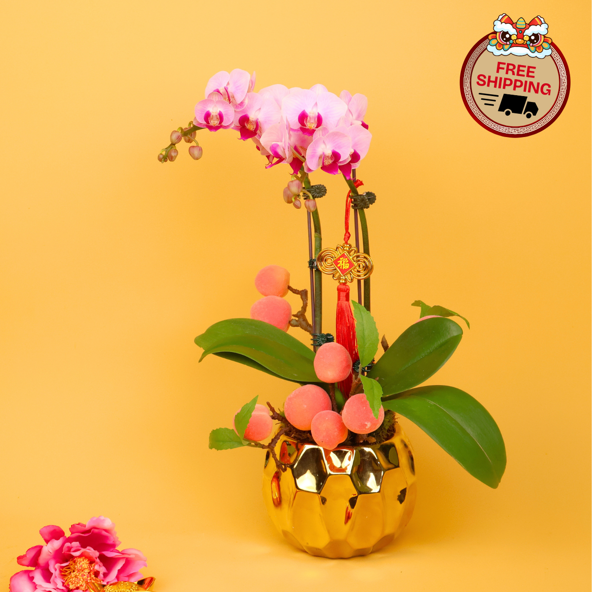 Peach Elegance (1 Double Stalk) - Orchid Phalaenopsis