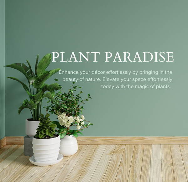 Order Flowers Online Singapore Ji Mei Flower