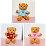 Plush Bear 30cm (Random Color)