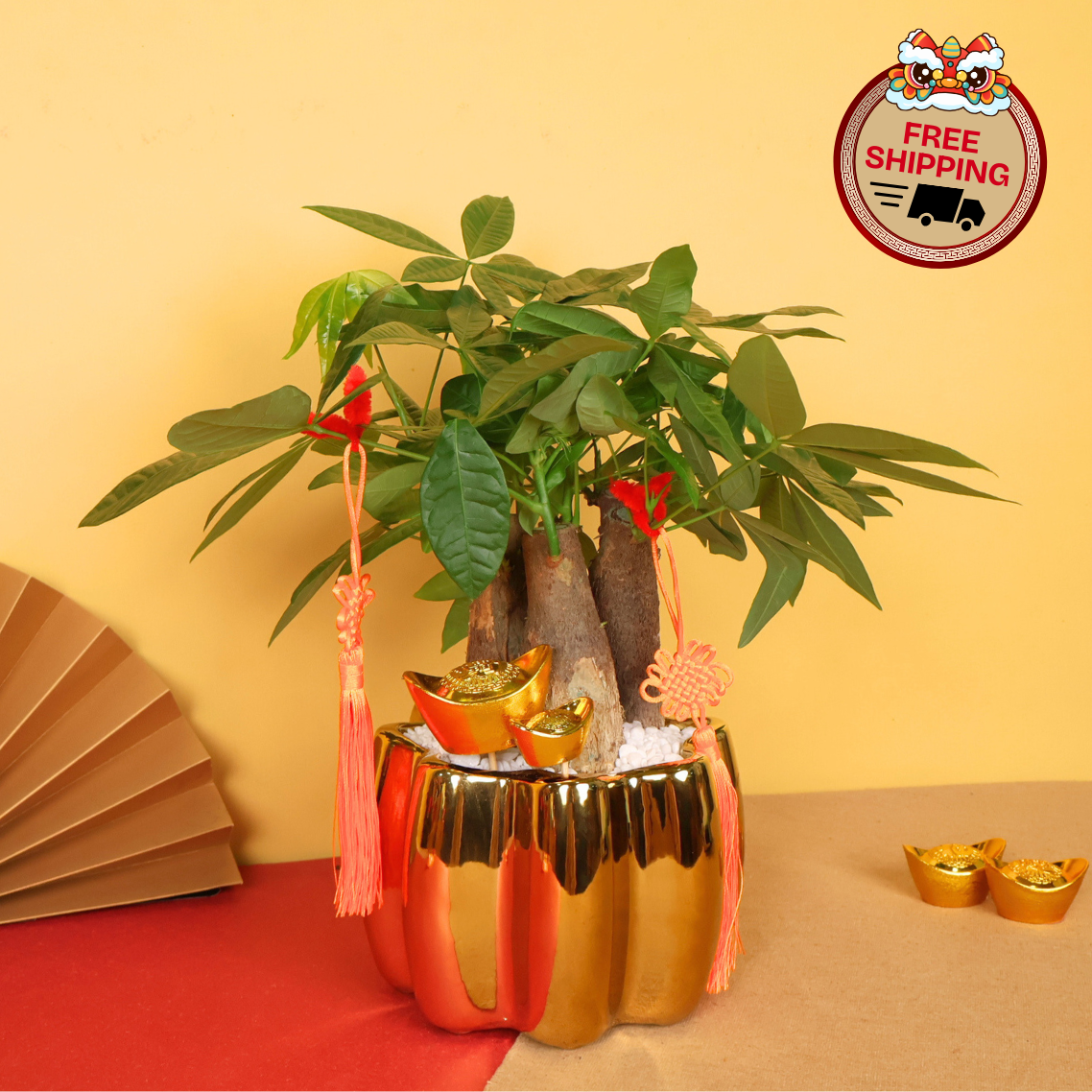 Pocket Fortune (Pachira 发财树) - CNY Plant