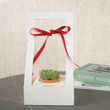 Mini Succulent Gift (Set of 2)
