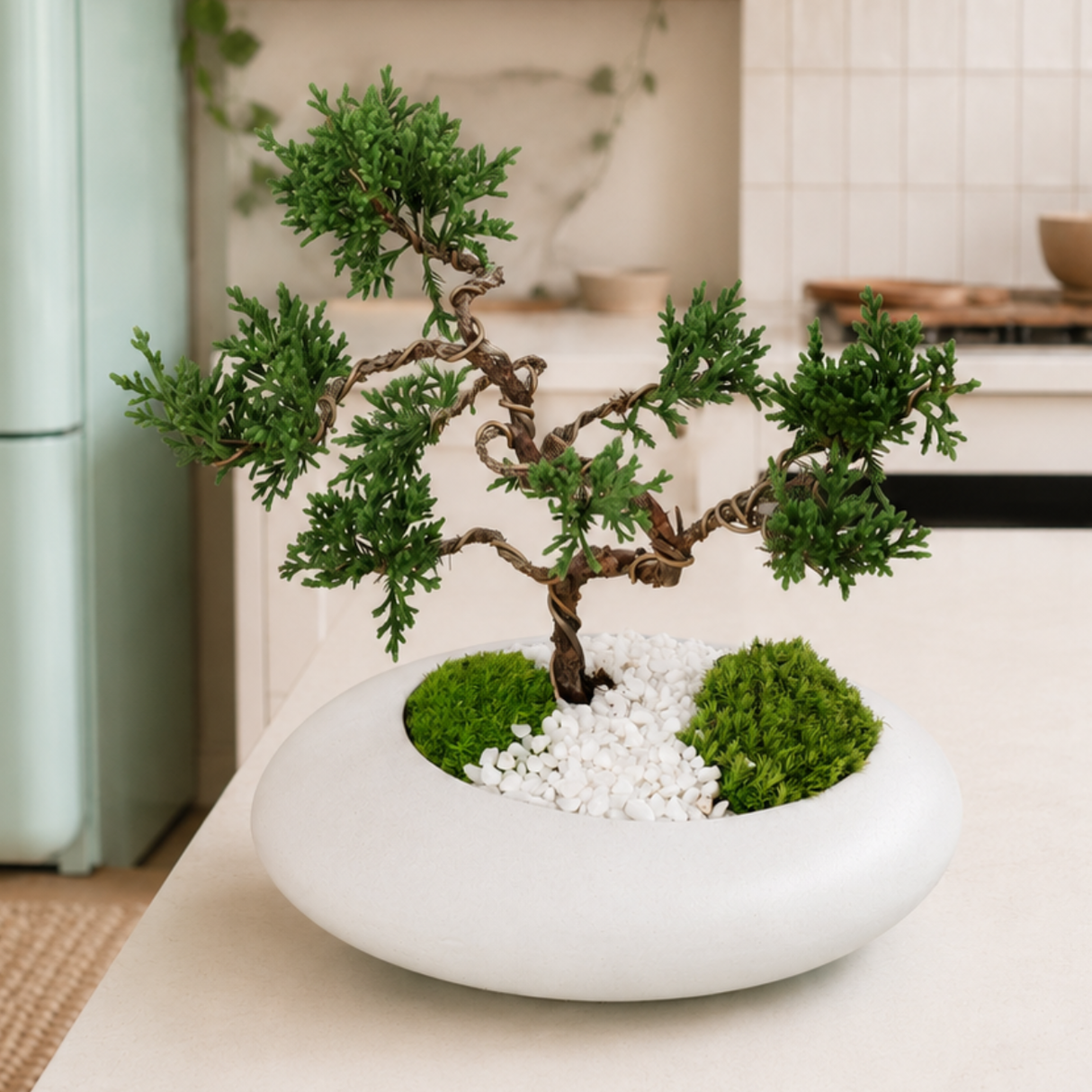 Chinese Juniper Bonsai in Ceramic Pot