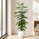 Everfresh Tree in Ceramic Pot (160cm)