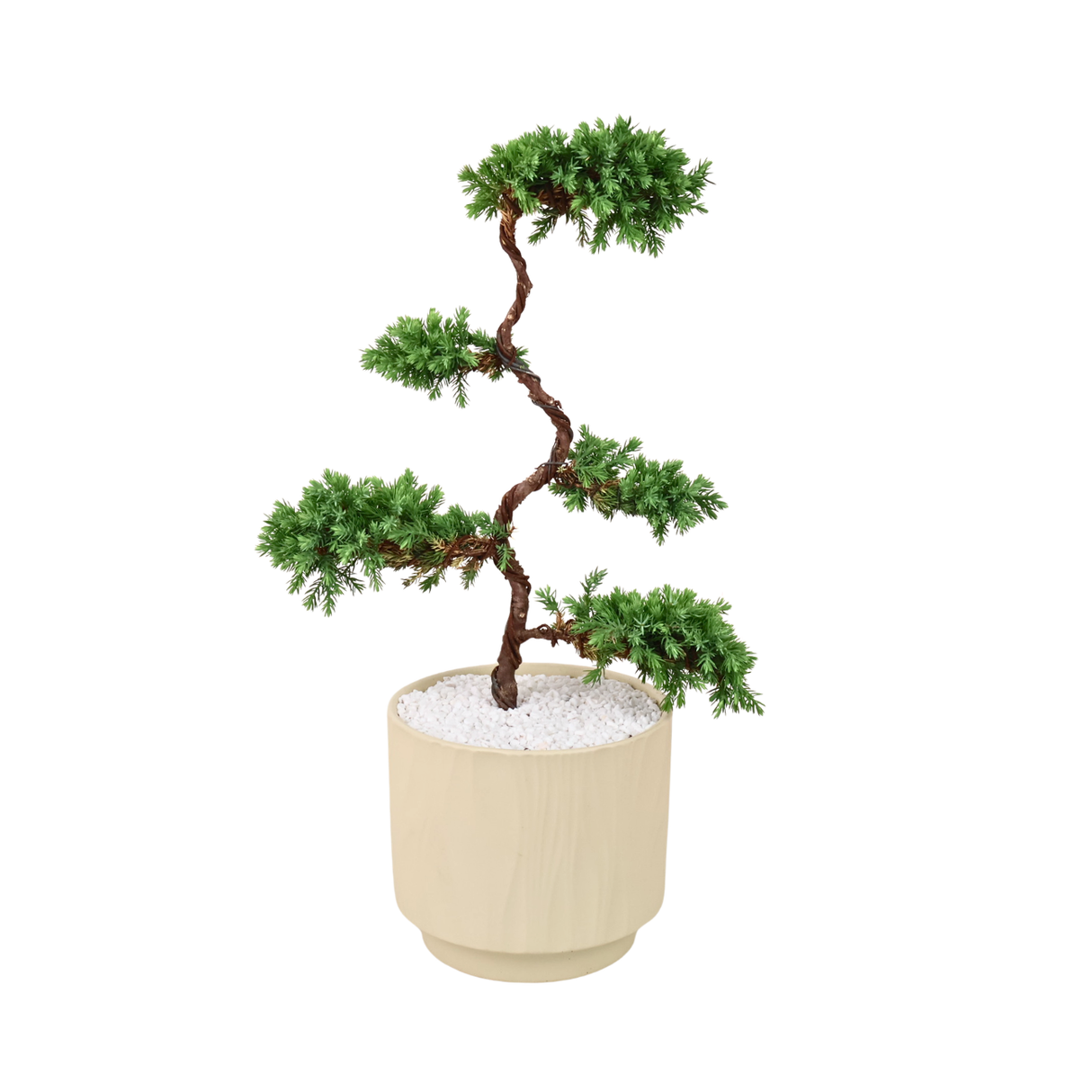 Juniper Bonsai in Ceramic Pot