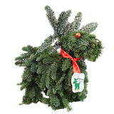 Nobilis Waltermart Reindeer (Holland)