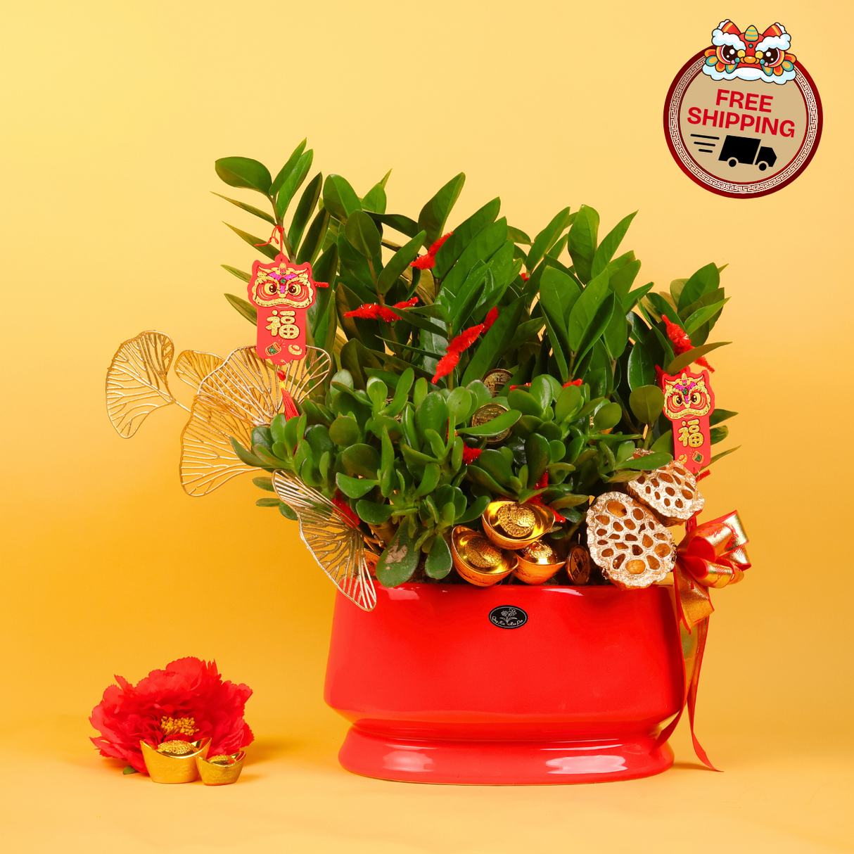 Blooming Prosperity (Money Plants) - CNY Plant