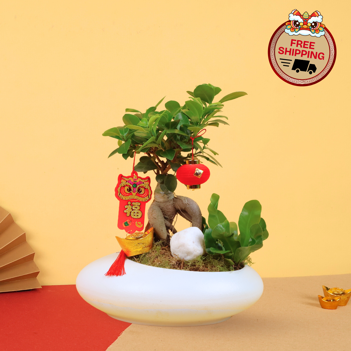 Bonsai Treasure (Bonsai) - CNY Plant