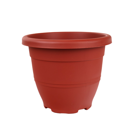 Baba EG-260 Pot