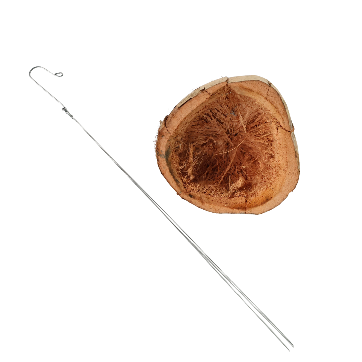 Coconut Shell Hanging