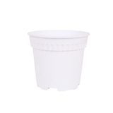 Baba RD-170 Pot