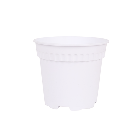 Baba RD-170 Pot